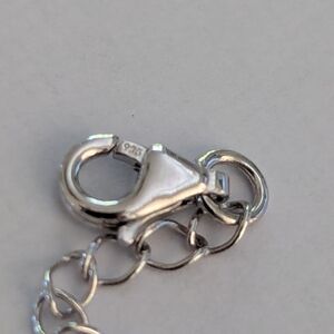 Sterling Silver Chain Necklace Extension with Lobster Clasp